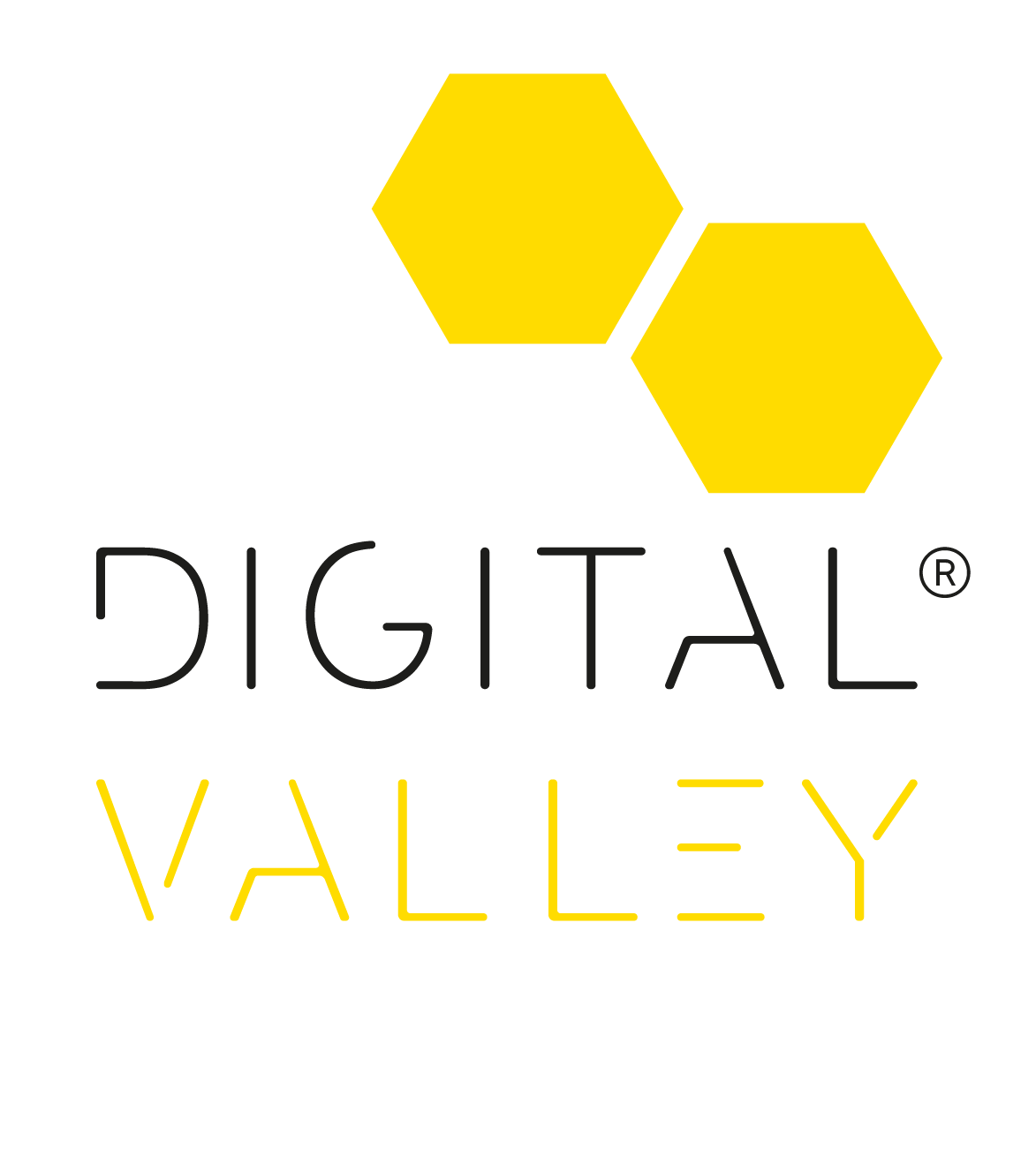 Digital Valley Seed Talk
